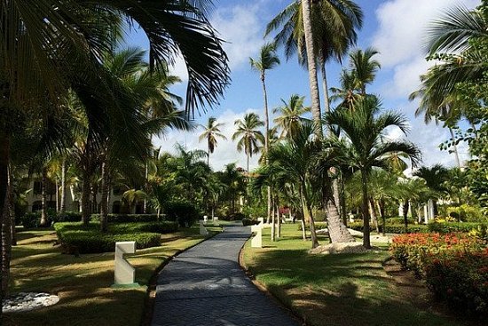 Пляжный отдых в Доминикане — курорт Пунта-Кана - детальная элемента