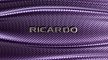 Чемодан Ricardo Santa Cruz 7.0 Hardside Wave маленький S ABS+поликарбонат USB фиолетовый S7W-20-579-4WB купить цена 17550.00 ₽ thumb