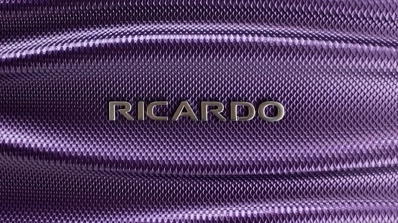 Чемодан Ricardo Santa Cruz 7.0 Hardside Wave маленький S ABS+поликарбонат USB фиолетовый S7W-20-579-4WB купить цена 17550.00 ₽