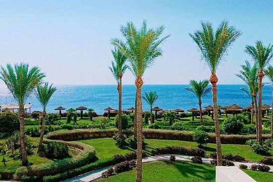 Пляжный отдых в Египте — курорт Эль-Аламейн - детальная элемента