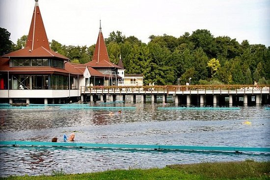 Курортный отдых в Венгрии на берегу озера или реки - детальная элемента