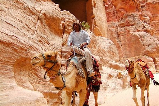 Отдых в Иордании — Мертвое море, Красное море и достопримечательности - детальная элемента