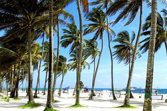 Пляжный отдых на острове Кокос (Коста-Рика) - детальная элемента