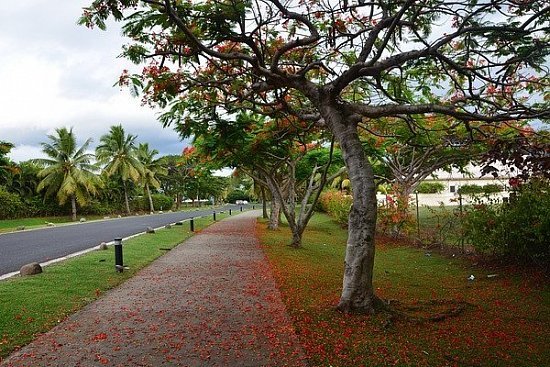 Первый пляжный отдых на Фиджи — что нужно знать туристу - детальная элемента