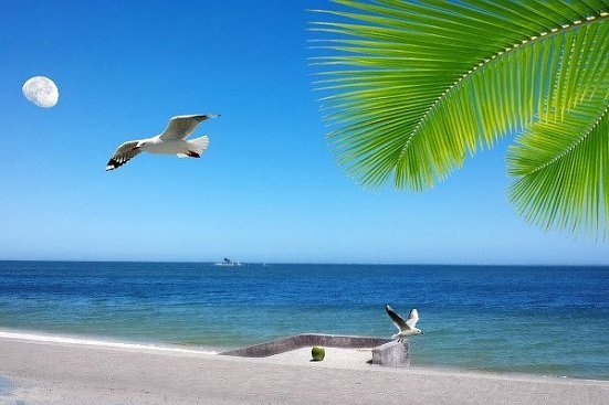 Пляжный отдых и развлечения в Аракажу (Бразилия) - детальная элемента
