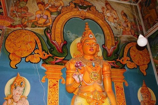 Почему туристы отказываются от посещения Шри-Ланки - детальная элемента