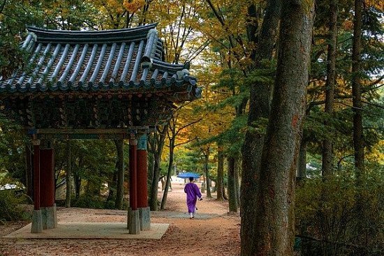 Путешествие в Южную Корею — советы туристам - детальная элемента