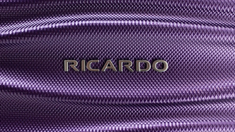 Чемодан Ricardo Santa Cruz 7.0 Hardside Wave большой L ABS+поликарбонат фиолетовый S7W-28-579-4VP купить цена 21840.00 ₽