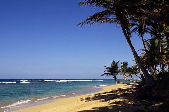 Отдых в Доминикане — что посмотреть туристу - детальная элемента