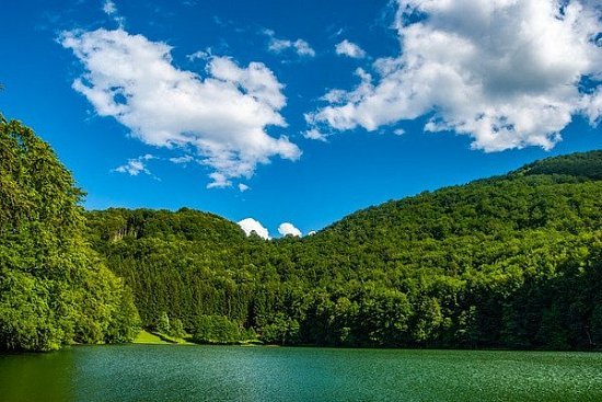 Национальный парк Сутеска (Босния и Герцеговина) - детальная элемента