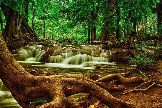 Национальные парки Таиланда — что посмотреть туристу - детальная элемента