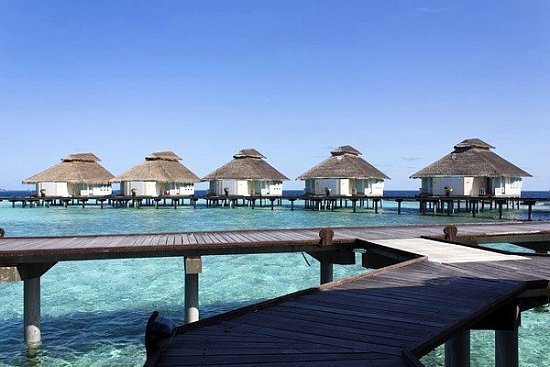 Пляжный отдых на атолле Адду (Мальдивы) - детальная элемента