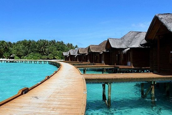 Чем заняться туристу на Мальдивских островах? - детальная элемента