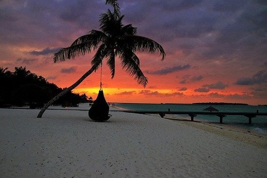 Мальдивы — пляжный отдых на берегу Индийского моря - детальная элемента