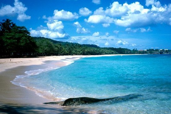 9 лучших пляжей и курортов Доминиканы - детальная элемента