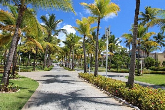 Пляжный отдых в Доминикане — лучшие курорты - детальная элемента