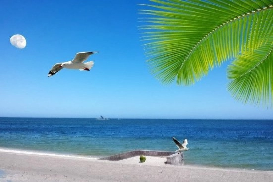 Пляжный отдых и развлечения в Аракажу (Бразилия)